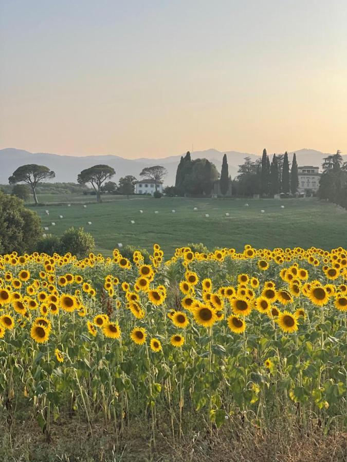 Casa Le Rondini Toscana Bucine Luaran gambar